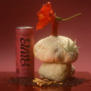 100mg Natural Caffeine + 5mg THC + 150mg Lion's Mane Mushrooms + 150mg Cordyceps Mushrooms ADVENTURE Tea - Raspberry Hibiscus Yerba Mate
