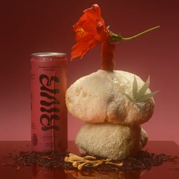 100mg Natural Caffeine + 5mg THC + 150mg Lion's Mane Mushrooms + 150mg Cordyceps Mushrooms ADVENTURE Tea - Raspberry Hibiscus Yerba Mate
