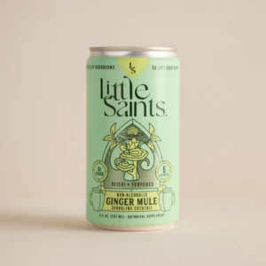 Infused Reishi Mushroom and Aromatic Terpenes Non-Alcoholic Sparkling Cocktail - Ginger Mule