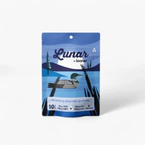 Nooner Gummies - Nighttime - 10 Pack - Blueberry Lavender