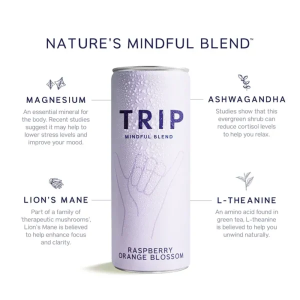 Mindful Blend Sparkling Botanical Drink - Raspberry Orange Blossom